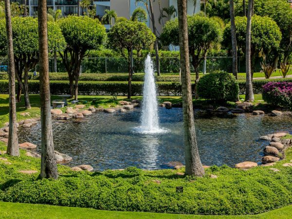 Wailea Condo 976705