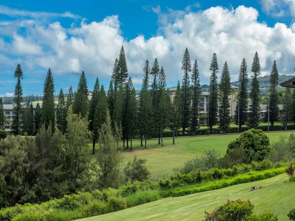 Kapalua Walk to Beach Two Bedroom Vacation Rental Sleeps Six