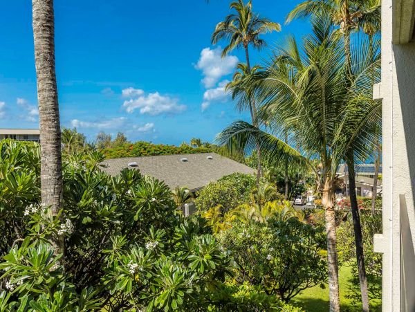 Wailea Condo 976709