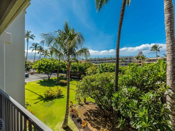 Wailea Condo 976709