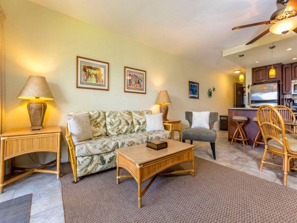 Wailea Condo 976709