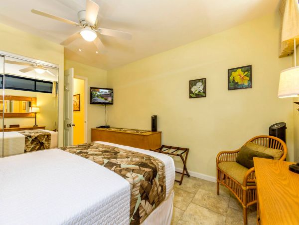 Wailea Condo 976709