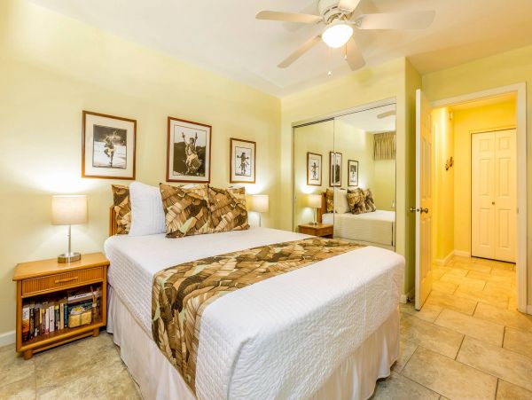 Wailea Condo 976709