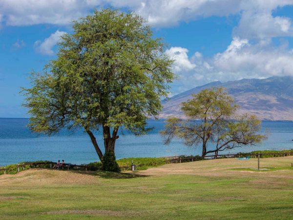 Wailea Condo 976709