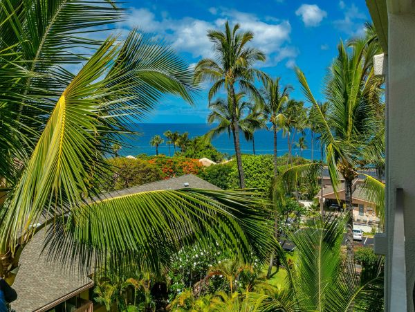 Wailea Condo 976711