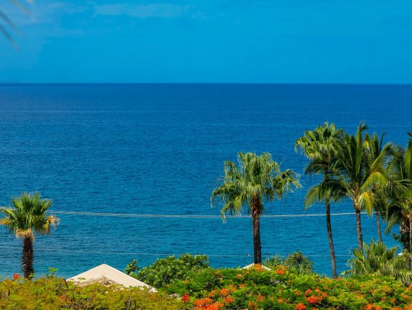 Wailea Condo 976711