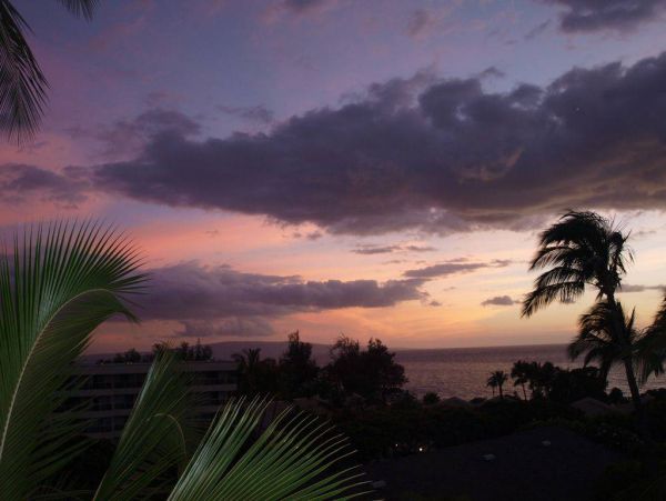 Wailea Condo 976711