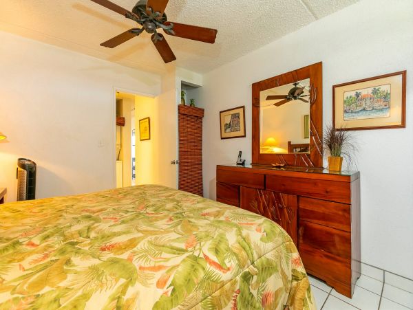Wailea Condo 976711