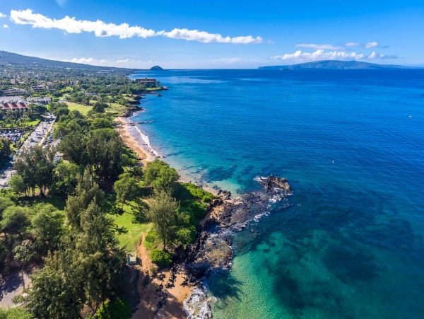 Wailea Condo 976711