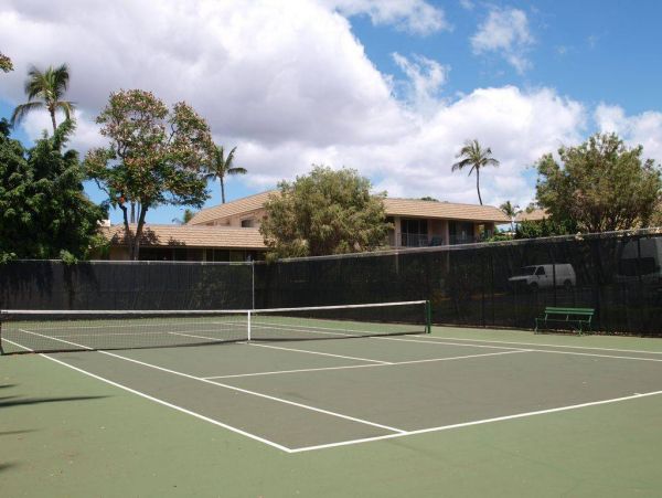Wailea Condo 976711
