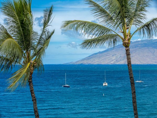 KIHEI 2/2 CONDO