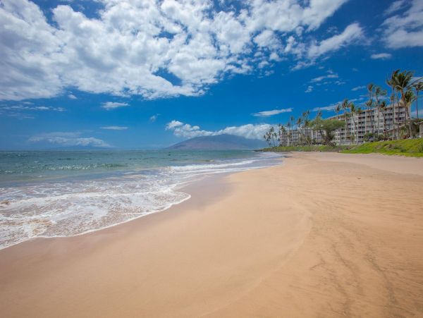 Wailea Condo 976717