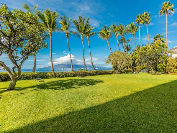 Lahaina Condo 976718