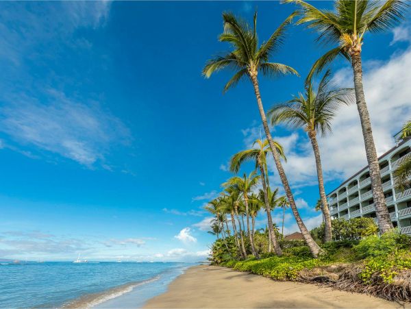 Lahaina Condo 976718