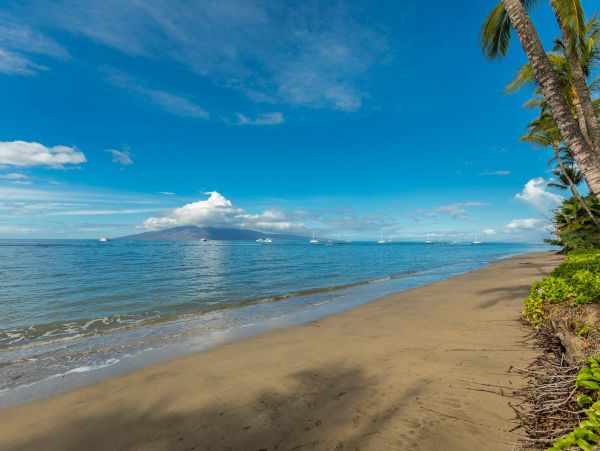 Lahaina Condo 976718