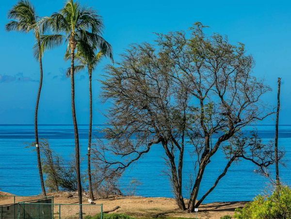 Kihei Condo 976719