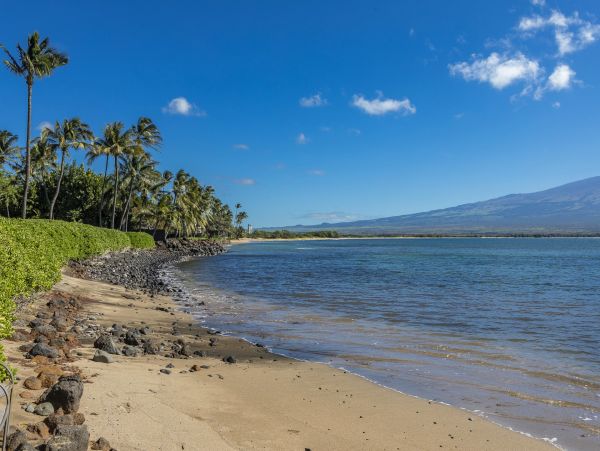 Ma'alaea Beachfront Condo