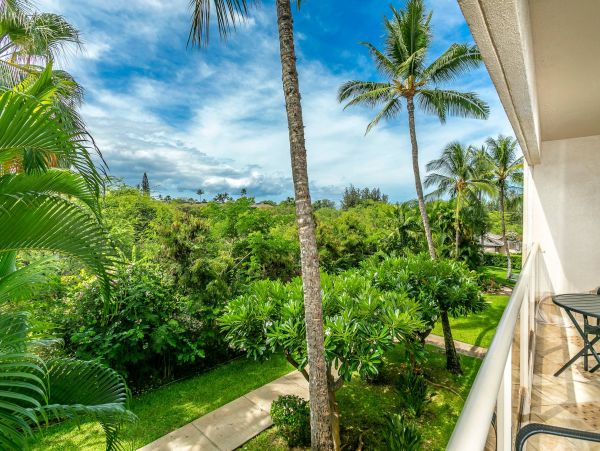Wailea Condo 976723