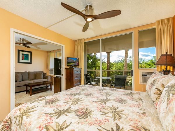 Wailea Condo 976723