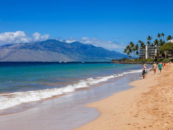 Wailea Condo 976723