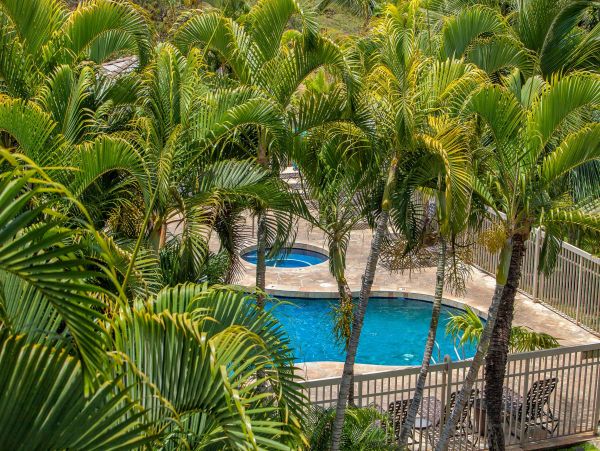 Wailea Condo 976723