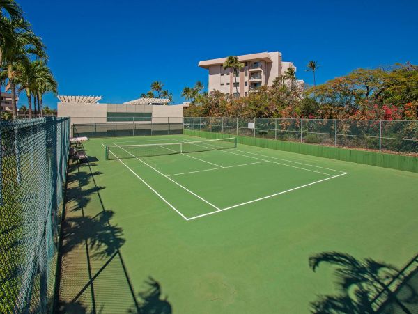 Wailea Condo 976723