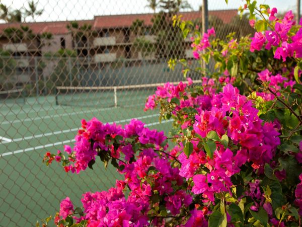 Kihei Condo 976726