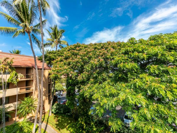 Kihei Condo 976727
