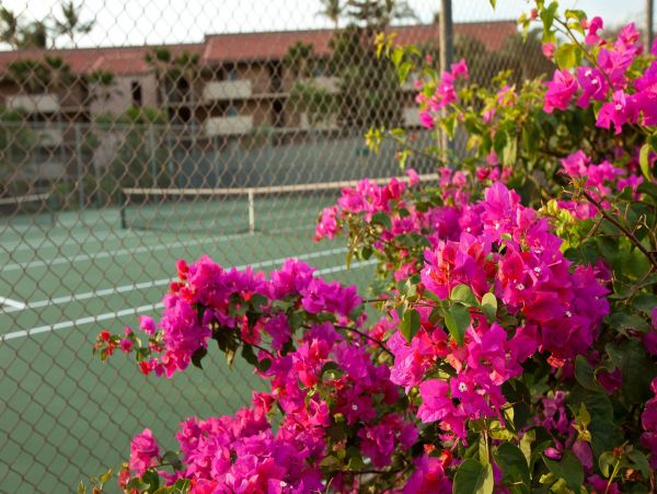 Kihei Condo 976727
