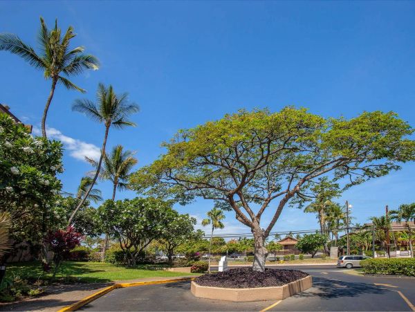 Kihei Condo 976728