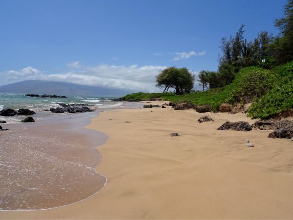 Kihei Maui Vacation Rental Ocean View Condo Across from Charley Young Beach