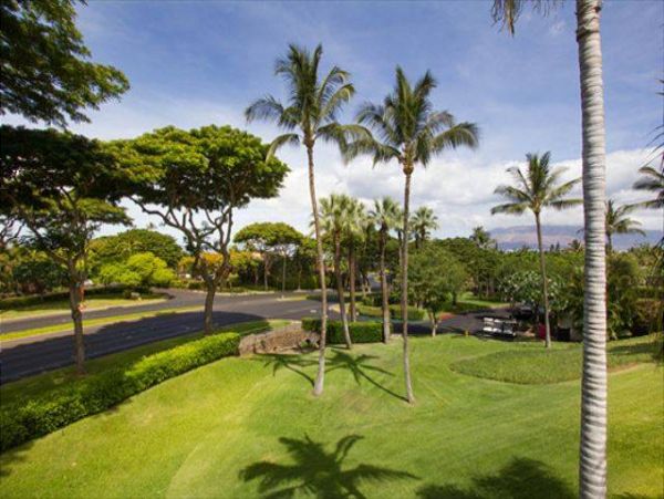 Wailea Condo 976732