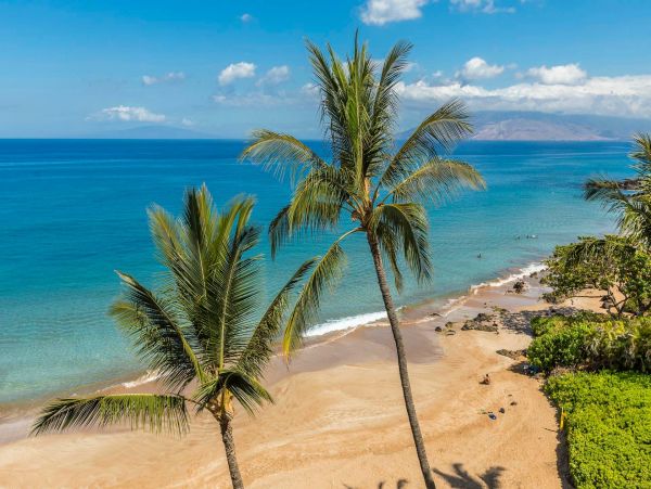 Wailea Condo 976735