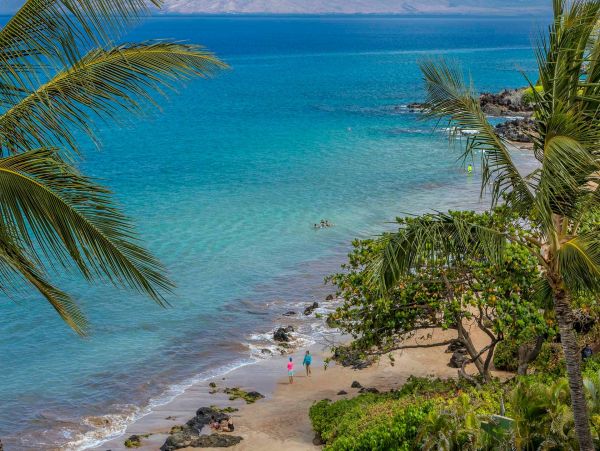 Wailea Condo 976735