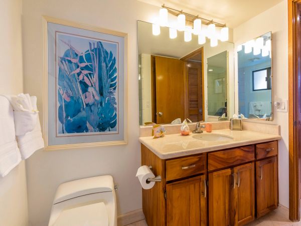 Wailea Condo 976735