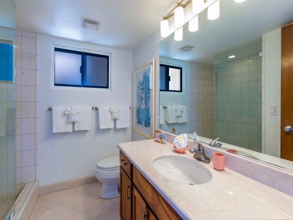 Wailea Condo 976735