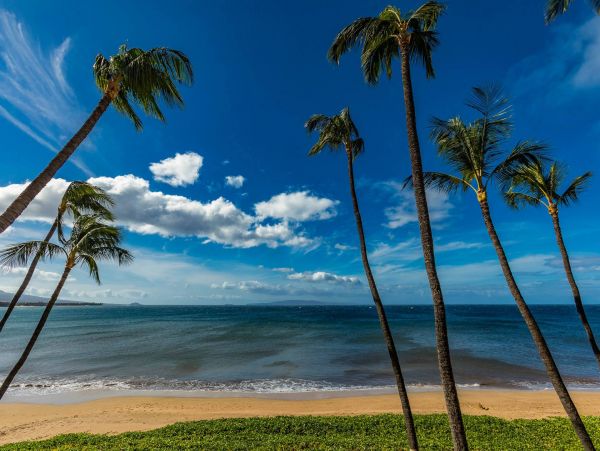 Kihei Condo 976738