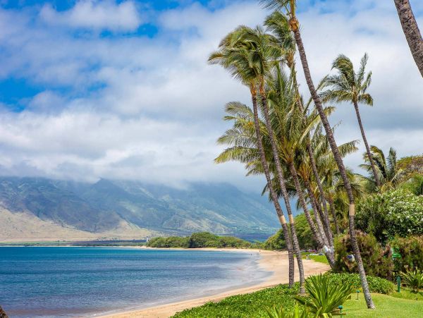 Kihei Condo 976738