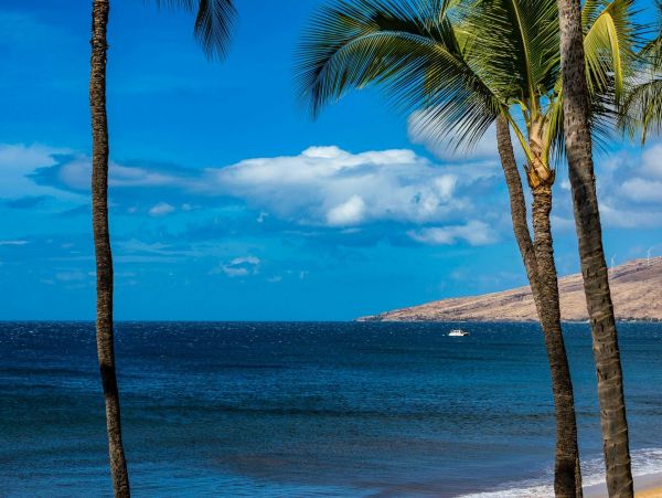 Kihei Condo 976738