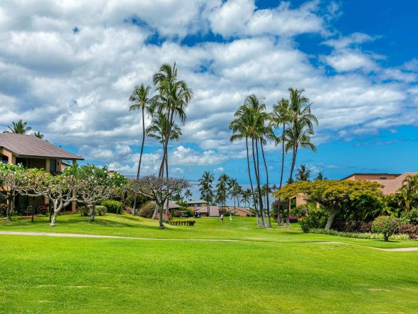 Wailea Condo 976741