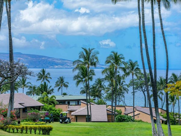 Wailea Condo 976741