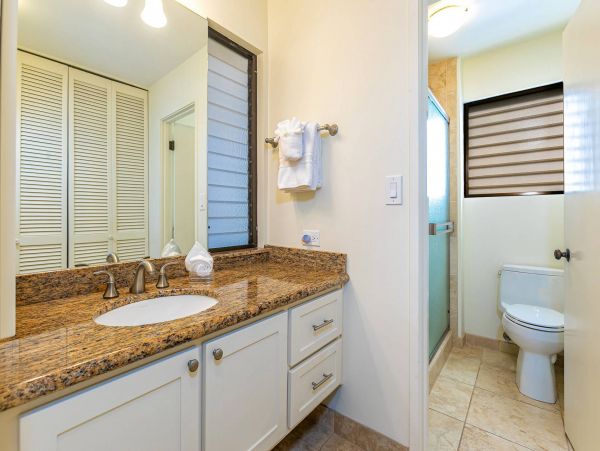 Wailea Condo 976741