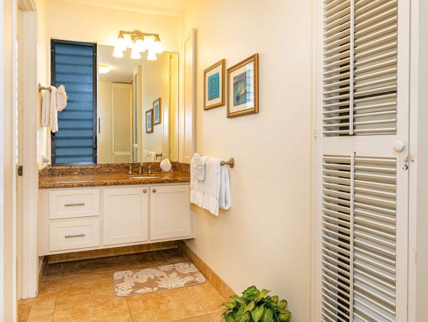 Wailea Condo 976741