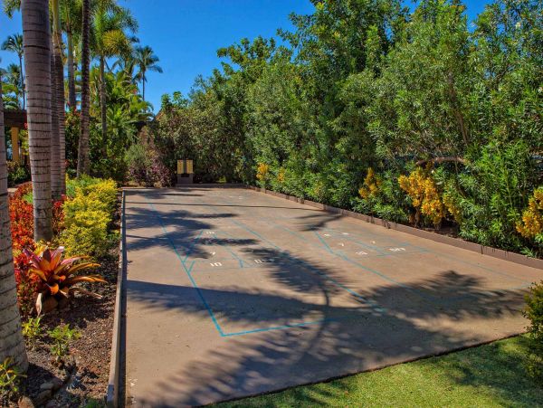 Wailea Condo 976741