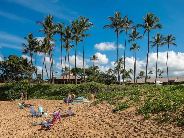 Wailea Condo 976741