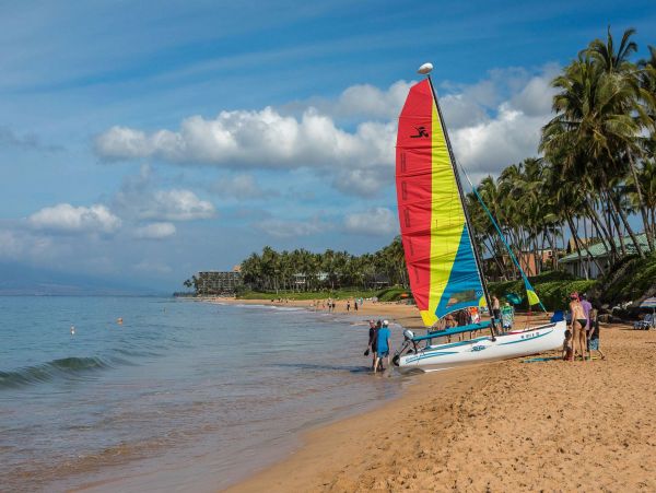 Wailea Condo 976741