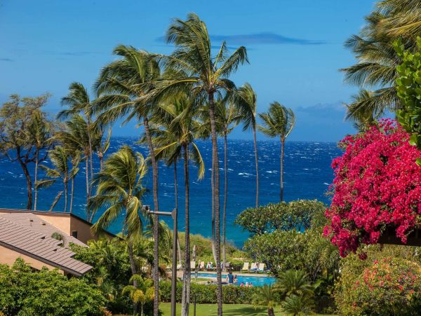 Wailea Condo 976742