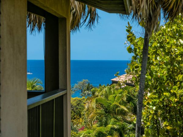 Wailea Condo 976743