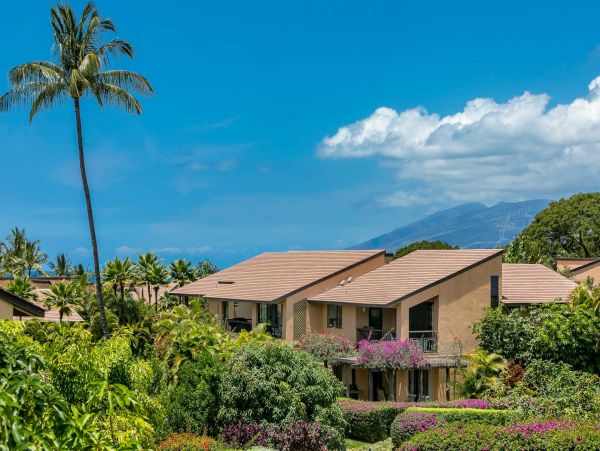 Wailea Condo 976743