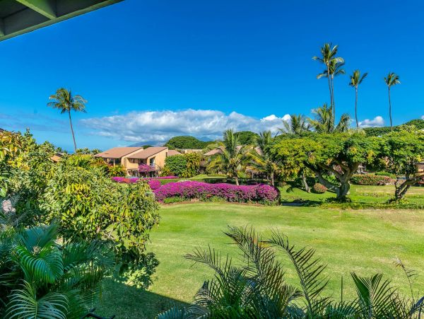 Wailea Condo 976743